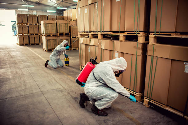 Best Flea Control Services  in Maysville, MO