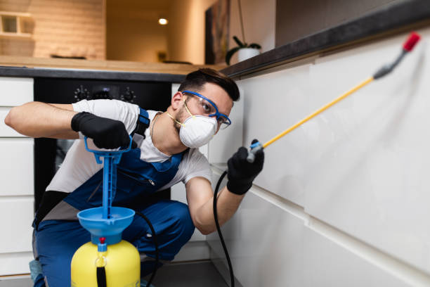 Best Affordable Pest Control Services  in Maysville, MO