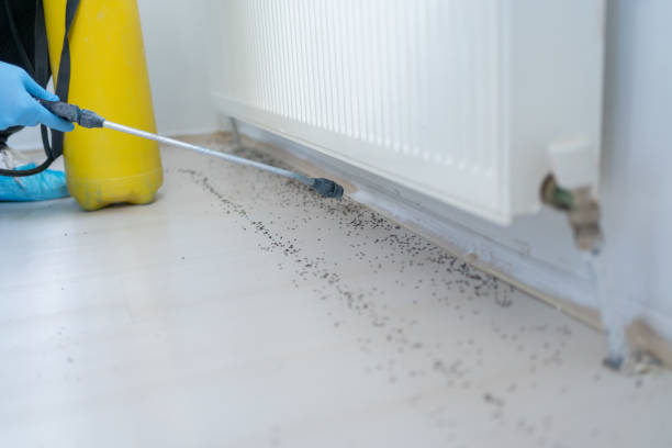 Best Residential Pest Control  in Maysville, MO